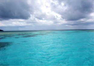 Roatan, Honduras, courtesy of Laura Radford